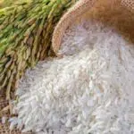 Stok Beras Hingga Akhir Tahun Depan Masih Cukup