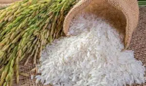 Stok Beras Hingga Akhir Tahun Depan Masih Cukup