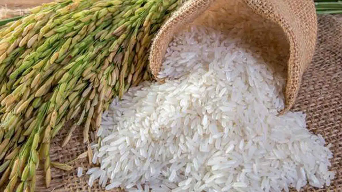 Stok Beras Hingga Akhir Tahun Depan Masih Cukup