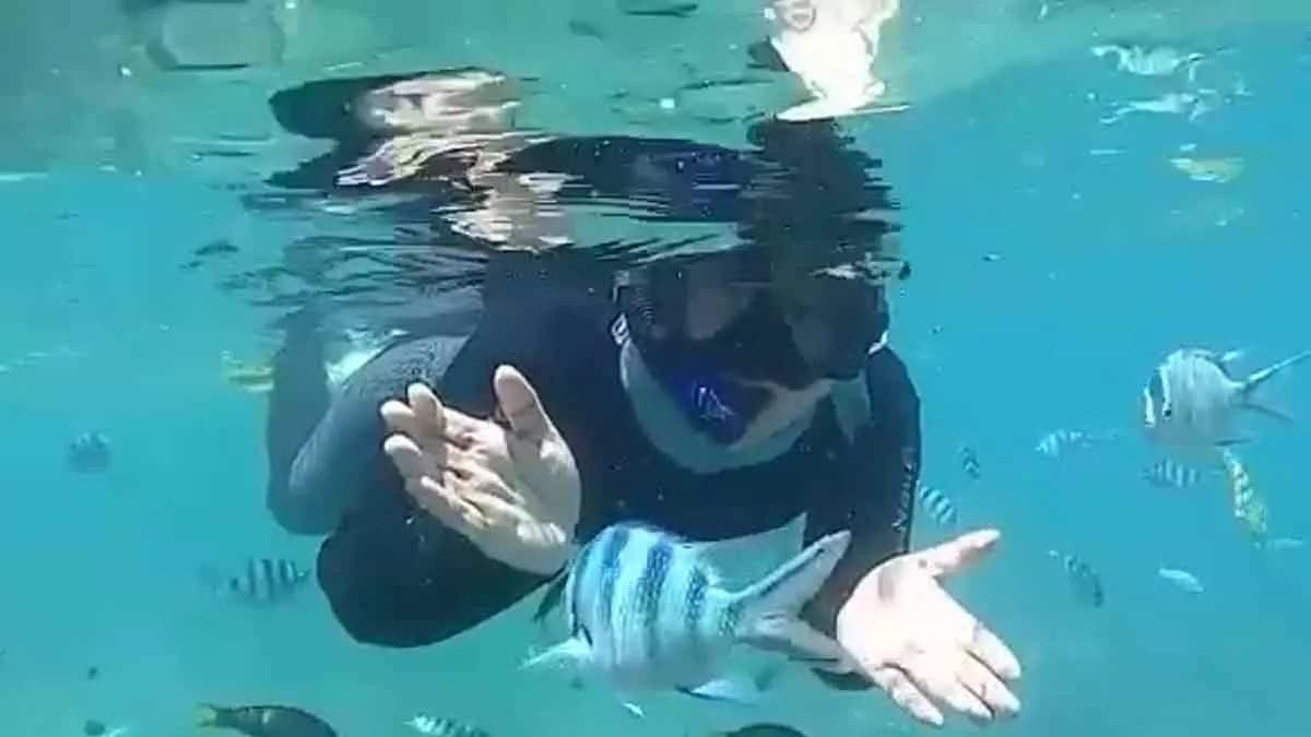 Terapkan Prokes, 40 Pemandu Snorkeling Siap Genjot Pariwisata Sumenep - Portalmadura.com Terapkan Prokes, 40 Pemandu Snorkeling Siap Genjot Pariwisata Sumenep