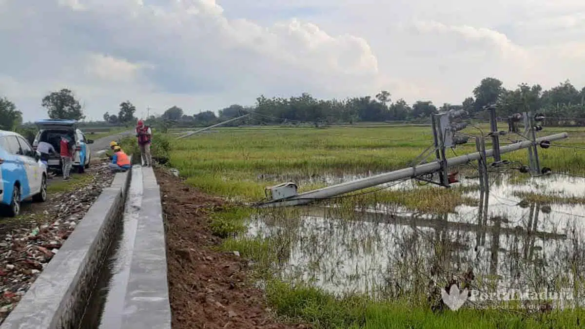 10 Tiang Listrik Roboh di Parsanga Sumenep