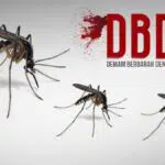 Capai 151 Kasus, Musim Hujan Waspadai DBD