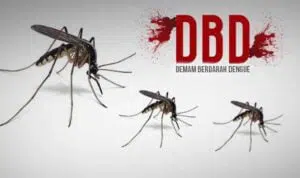 Capai 151 Kasus, Musim Hujan Waspadai DBD