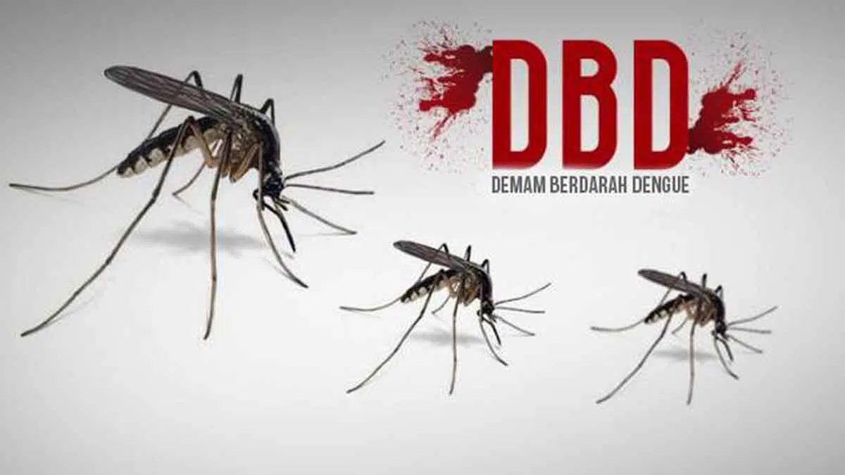 Capai 151 Kasus, Musim Hujan Waspadai DBD