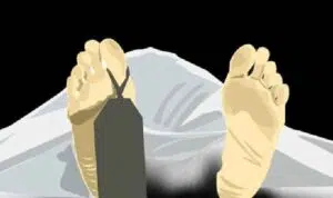 Gegara Digigit Ular, Petani di Pamekasan Tewas