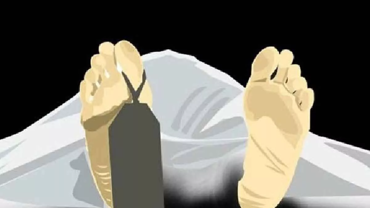 Gegara Digigit Ular, Petani di Pamekasan Tewas