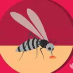 Waspada! Kasus DBD Menyebar di 22 Desa di Sampang