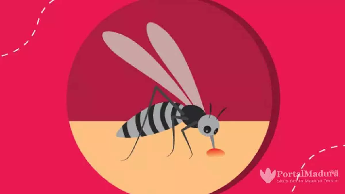 Waspada! Kasus DBD Menyebar di 22 Desa di Sampang