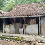 Sebatang Kara, Nenek Tua Ini Tinggal di Rumah Tidak Layak Huni