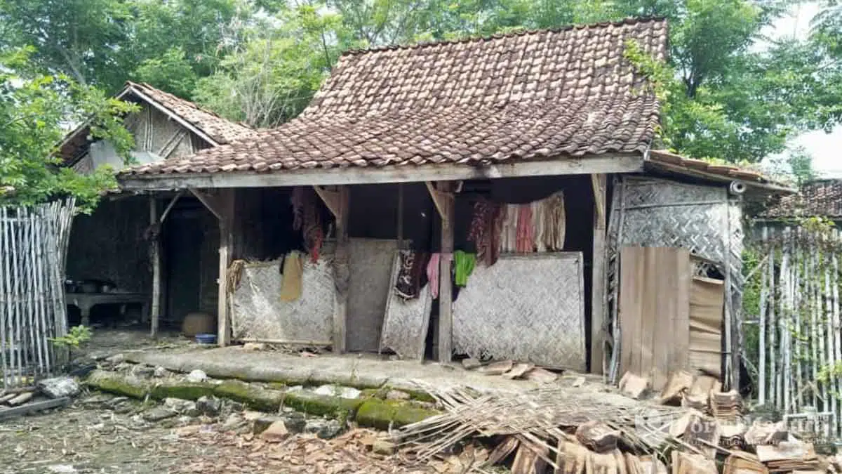 Sebatang Kara, Nenek Tua Ini Tinggal di Rumah Tidak Layak Huni