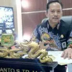Tembakau Rajangan Sumenep Mulai Diserap Pabrikan