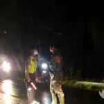 Pikup Hantam Truk Fuso Bermuatan Pupuk di Bluto Sumenep