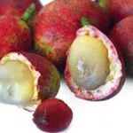 Manfaat Buah Matoa untuk Kecantikan dan Kesehatan