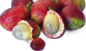 Manfaat Buah Matoa untuk Kecantikan dan Kesehatan