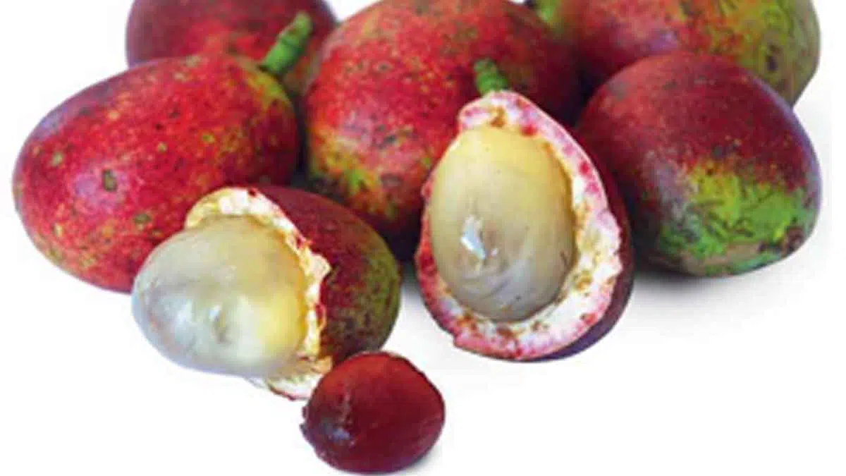 Manfaat Buah Matoa untuk Kecantikan dan Kesehatan