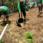 2021, Alokasi Pupuk Bersubsidi Meningkat di Sumenep