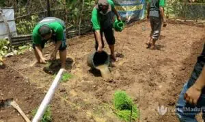 2021, Alokasi Pupuk Bersubsidi Meningkat di Sumenep