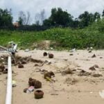 Bau Tak Sedap Ganggu Pengunjung Pantai Wisata Tlangoh Bangkalan