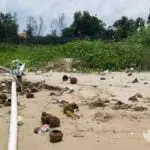 Bau Tak Sedap Ganggu Pengunjung Pantai Wisata Tlangoh Bangkalan