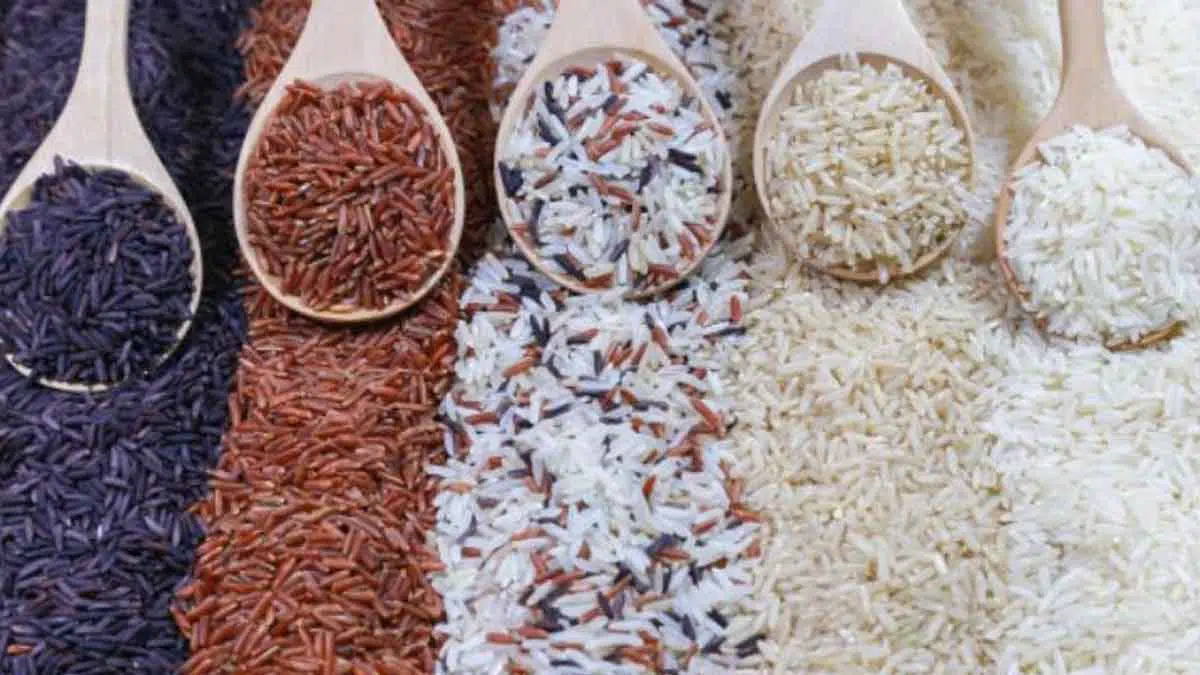 Berikut 5 Jenis Beras Cocok Untuk Anda yang Sedang Diet
