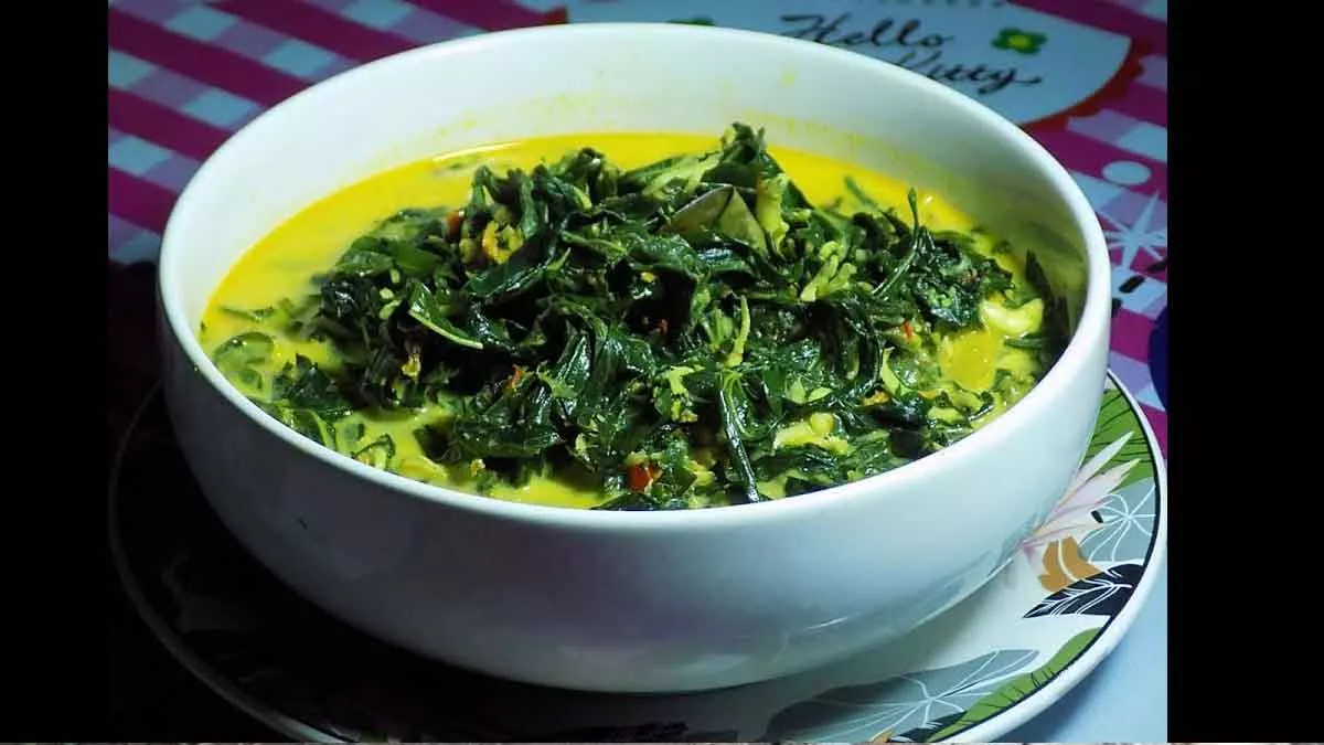 Resep Gulai Sayur Daun Singkong Yang Nikmat Dan Sehat - Portalmadura.com Resep Gulai Sayur Daun Singkong yang Nikmat dan Sehat