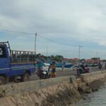 Kasihan, Sudah 2 Bulan Warga Desa Ketupat “Berburu” Sinyal Internet di Pelabuhan
