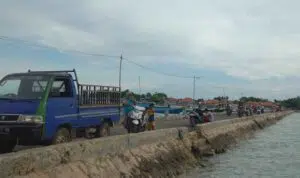 Kasihan, Sudah 2 Bulan Warga Desa Ketupat "Berburu" Sinyal Internet di Pelabuhan