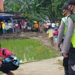Lomba Balap Burung Merpati di Lenteng Sumenep Dibubarkan