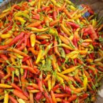 Harga Cabai Rawit di Sampang Tembus Rp. 110 Ribu per Kg