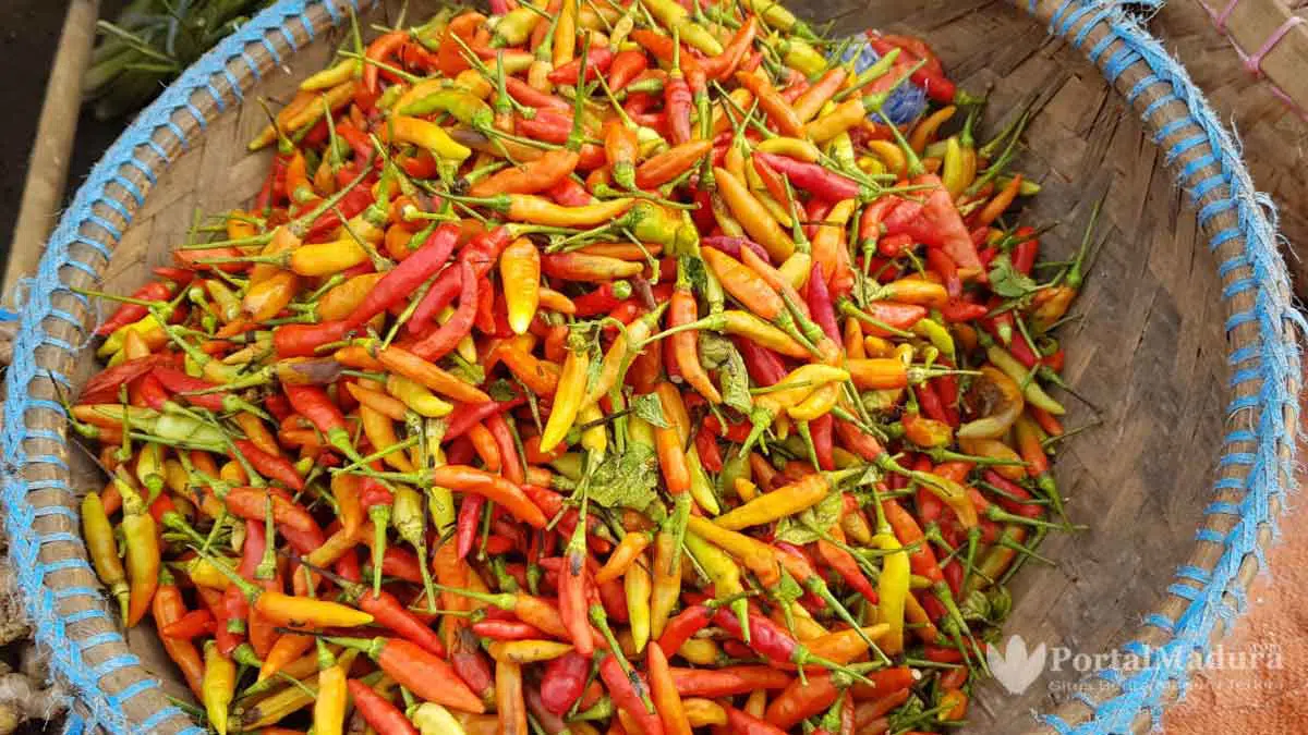Harga Cabai Rawit di Sampang Tembus Rp. 110 Ribu per Kg