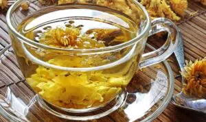 Manfaat Chrysanthemum Untuk Tubuh Yang Tak Boleh Dilewatkan