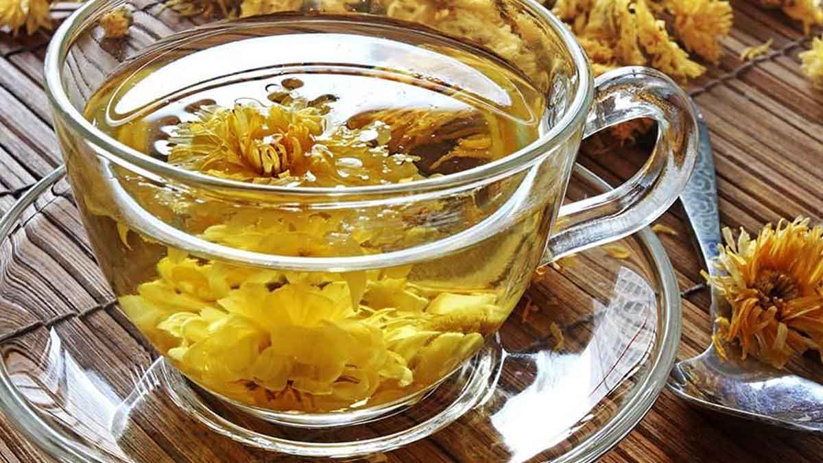 Manfaat Chrysanthemum Untuk Tubuh Yang Tak Boleh Dilewatkan