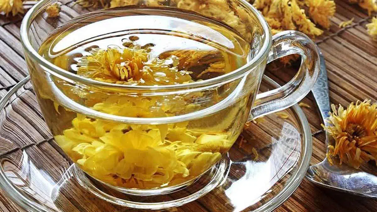Manfaat Chrysanthemum Untuk Tubuh Yang Tak Boleh Dilewatkan