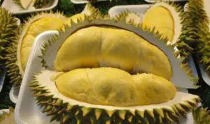 Memiliki Banyak Manfaat, Kenali Nutrisi Dalam Durian yang Baik Untuk Tubuh