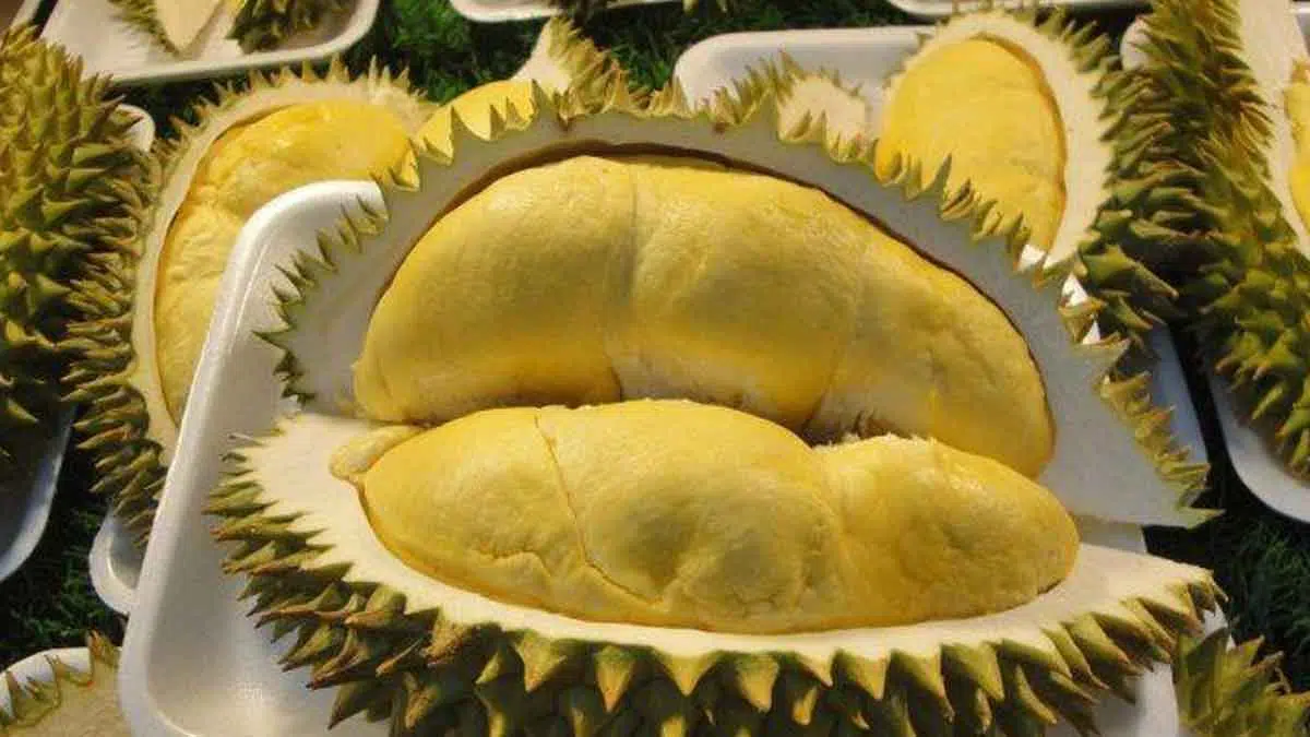 Memiliki Banyak Manfaat, Kenali Nutrisi Dalam Durian yang Baik Untuk Tubuh