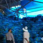 Puting Beliung Sapu Gudang Penyimpanan Garam & Rumah Warga Sumenep