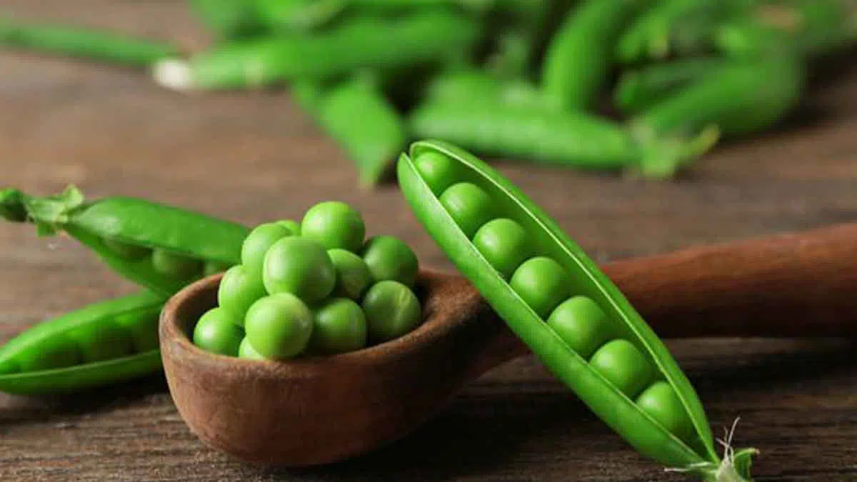 Rutin Konsumsi Kacang Polong Dapatkan 5 Manfaat Untuk Kesehatan Anda