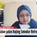Video Anjing Viral, Diny: Ajak Jalan-jalan Anjing Sekedar Refreshing