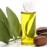 Berikut Manfaat Minyak Jojoba Untuk Anda