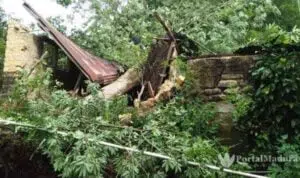 Sehari, Tujuh Wilayah Disapu Angin Kencang di Pamekasan