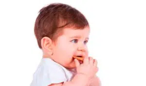 5 Rekomendasi Finger Food Untuk Si Kecil