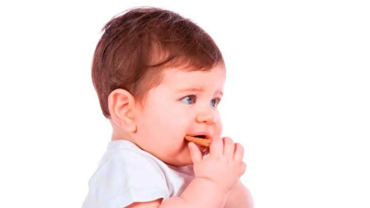 5 Rekomendasi Finger Food Untuk Si Kecil