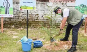 Bupati Baddrut Tamam 'Nyangkul' Sendiri Saat Aksi Tanam Pohon