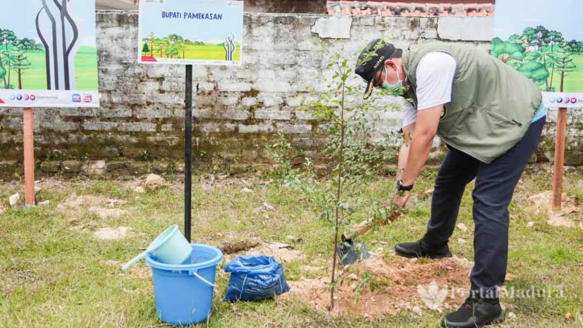 Bupati Baddrut Tamam 'Nyangkul' Sendiri Saat Aksi Tanam Pohon