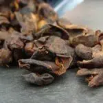 Cascara, Kulit Kopi yang Baik Untuk Tubuh