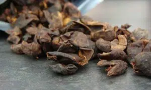 Cascara, Kulit Kopi yang Baik Untuk Tubuh