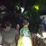 4 Pohon Tumbang, Tiang Listrik Patah & Balai Desa Diterjang Puting Beliung di Sumenep
