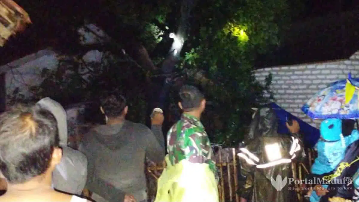 4 Pohon Tumbang, Tiang Listrik Patah & Balai Desa Diterjang Puting Beliung di Sumenep