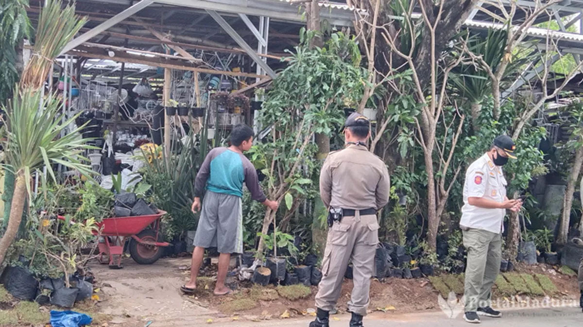 Ganggu Jalan Umum, Penjual Bunga Hidup Ditertibkan