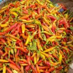 Harga Cabai Merah Keriting Turun, Sembako Stabil